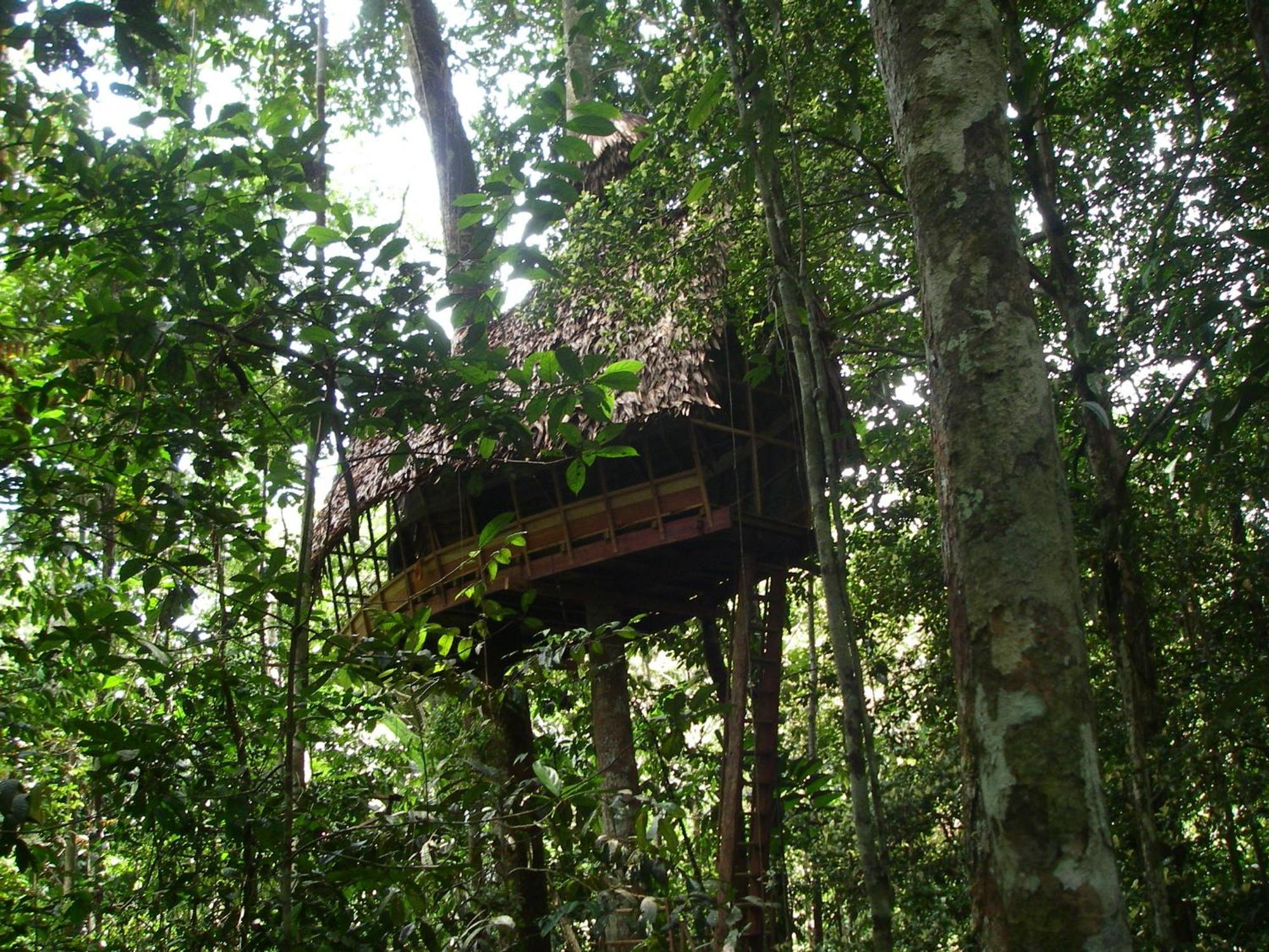 Reserva Natural Tanimboca Leticia Exterior photo