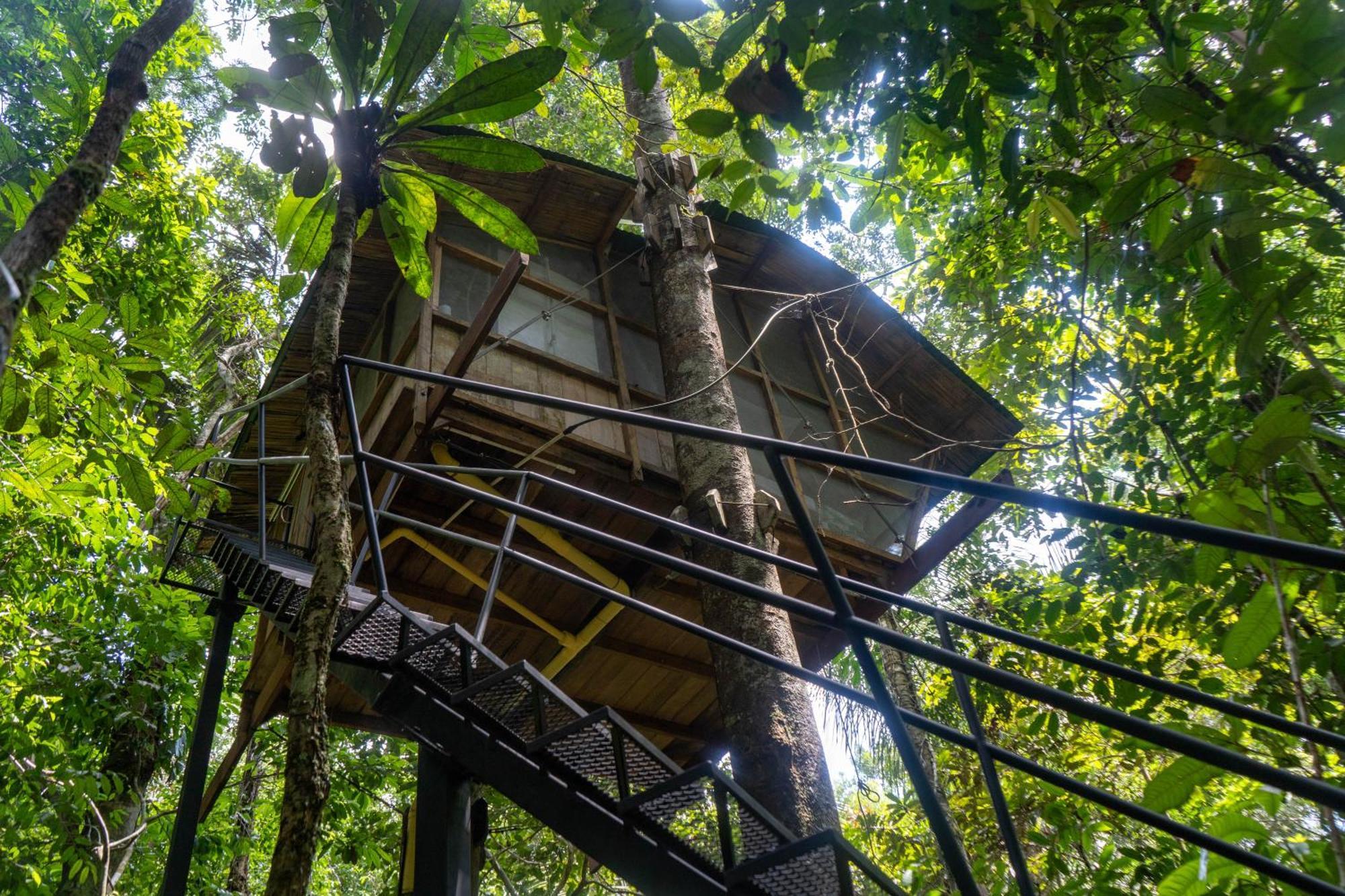 Reserva Natural Tanimboca Leticia Exterior photo