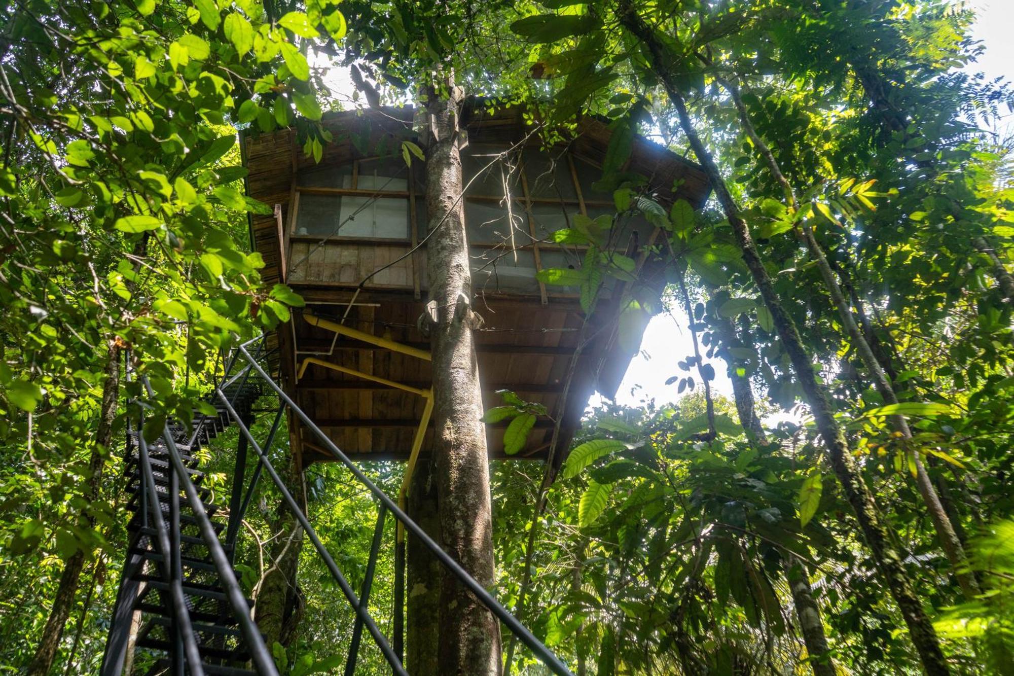 Reserva Natural Tanimboca Leticia Exterior photo
